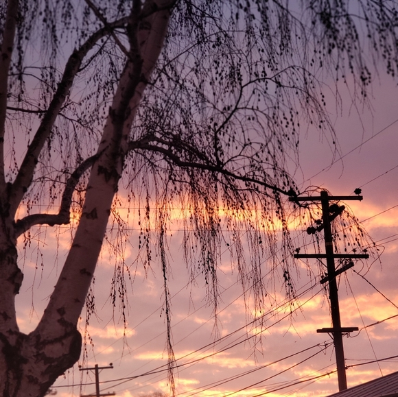 Meet your Posher, Primo - Picture 5 of 7